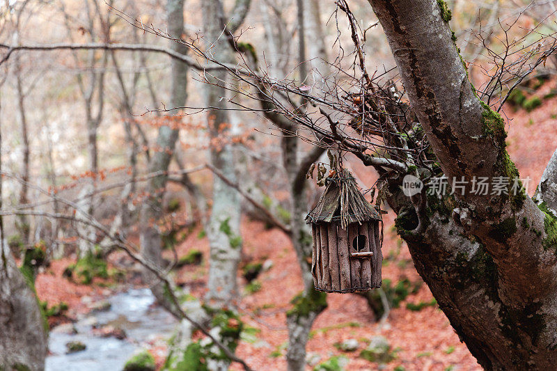 Faedo de Ciñera的木制鸟屋